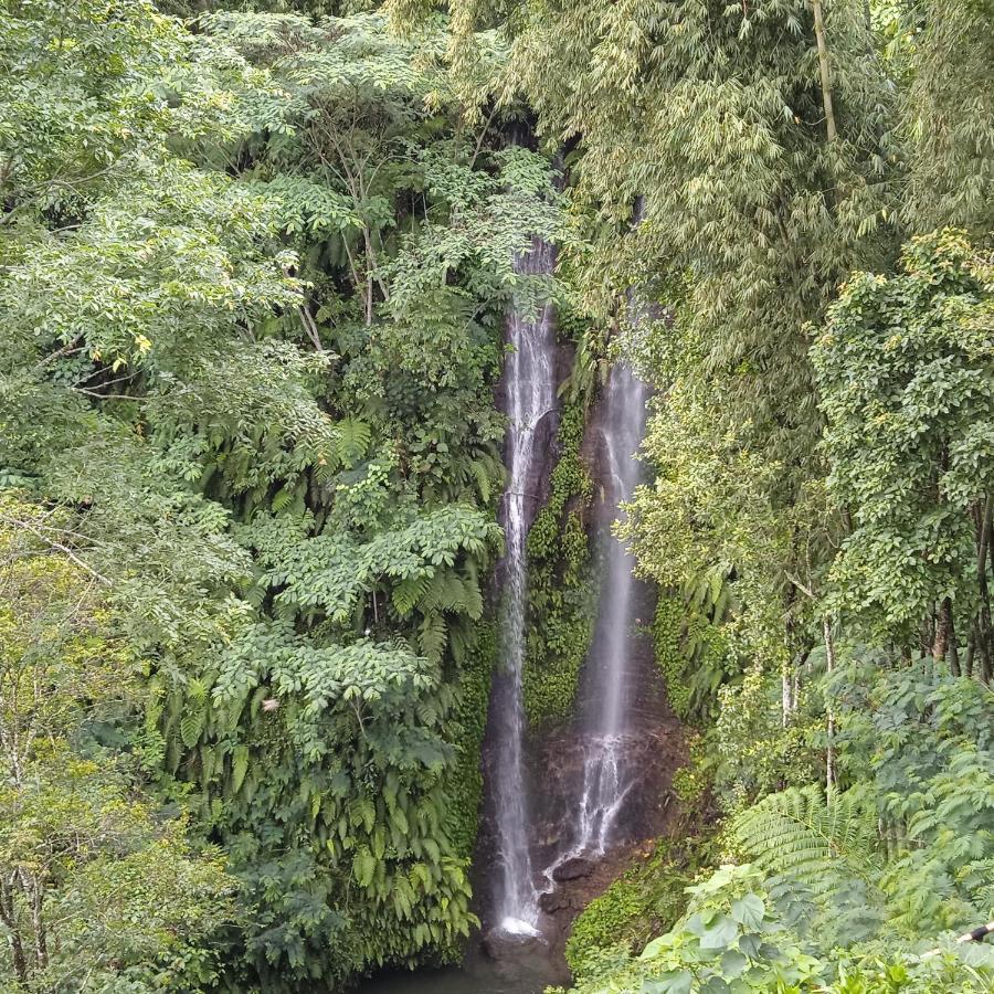 Munduk Tutub Waterfall View Экстерьер фото