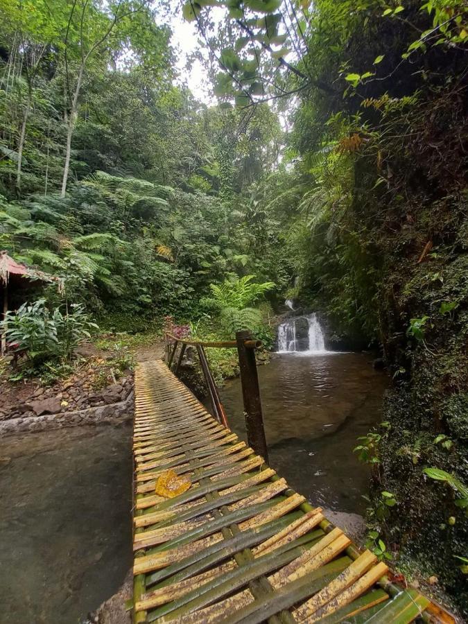 Munduk Tutub Waterfall View Экстерьер фото