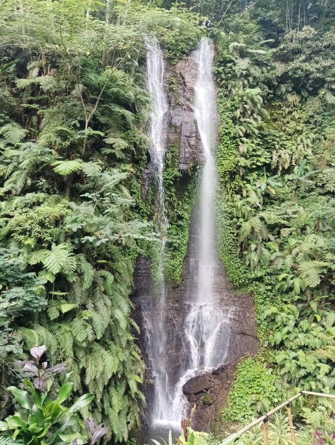 Munduk Tutub Waterfall View Экстерьер фото