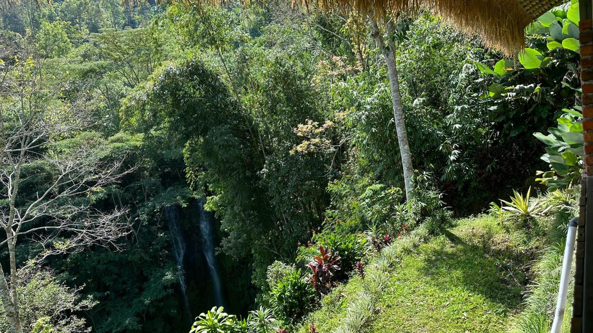 Munduk Tutub Waterfall View Экстерьер фото
